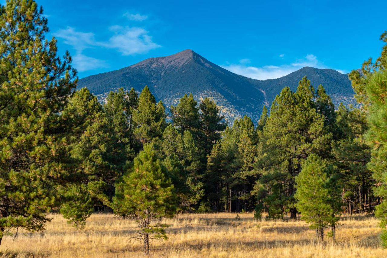 Mt. Elden Adventure Flagstaff Exterior foto
